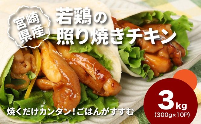 宮崎県産若鶏の照り焼きチキン 小分け 3kg K16_0166