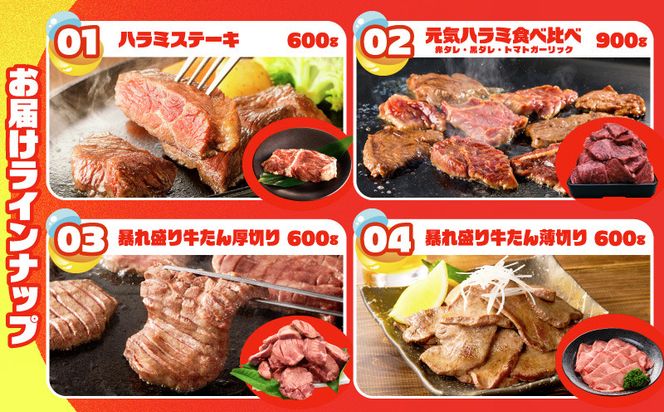 gacha014 【期間限定】肉の泉佐野 ガチャ（寄附10,000円コース）【牛肉 焼肉 牛タン ハラミ カルビ BBQ ハンバーグ お楽しみ】
