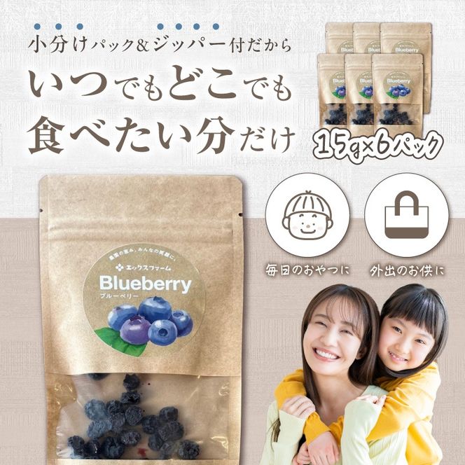 【無添加・砂糖不使用】農家が本気で作ったドライブルーベリー（15g×6パック） ドライフルーツ 乾燥 自然派 シンプル やさしい 甘酸っぱい H164-014