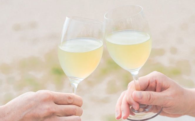 超微炭酸シークヮーサーワイン Occi ORIGINAL オッチオリジナル 6本入り (720ml×6本) スパークリングワイン シークワーサー サイダー 炭酸 沖縄市 / オッチサイダリー株式会社[BCDG003]