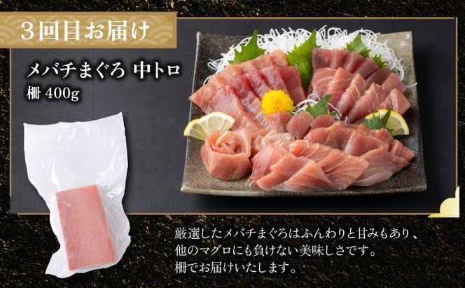 【全6回定期便】タカシン水産厳選 高知の海鮮セット 定期便 福袋 海鮮 詰め合わせ タタキ まぐろ マグロ 本まぐろ ネギトロ かつお カツオ 鰹 かつおのたたき カツオのタタキ タタキ 魚介 高知 室戸 all