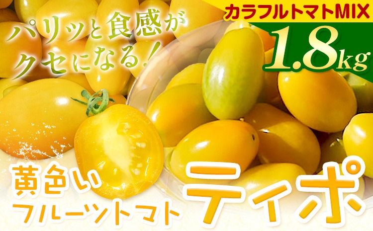 黄色いフルーツトマト「ティポ」&カラフルトマトMIX 計1.8kg(1箱)[10月中旬〜5月末頃出荷] ジャム さっぱり 黄色いトマト カラフル 詰め合わせ 食べくらべ 個性豊か---yuki_fab_2_1800g---