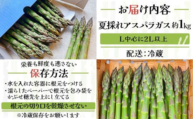 ＜先行予約＞あまーい！北海道産夏アスパラ(A品) 1kg【ffk-003】北海道 伊達市 野菜 新鮮 アスパラガス ふるさと納税 送料無料