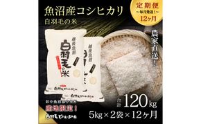 【通年受付】≪令和8年産≫【定期便／全12回】農家直送！魚沼産コシヒカリ「白羽毛の米」精米(5kg×2袋)×12回 120kg お米