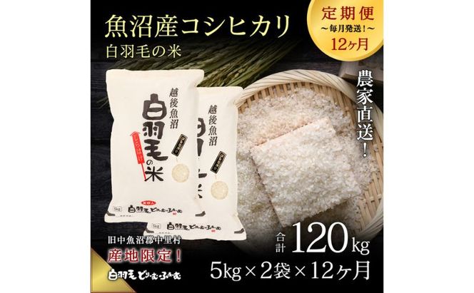 【通年受付】≪令和8年産≫【定期便／全12回】農家直送！魚沼産コシヒカリ「白羽毛の米」精米(5kg×2袋)×12回 120kg お米