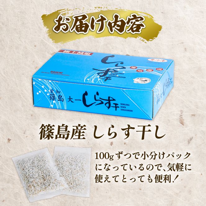 しらす干し 約2.5kg（100g×25パック） 南知多篠島産 大一商店 冷凍 小分け 愛知県 南知多町