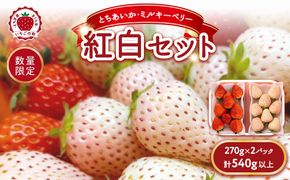 《数量限定》紅白セット（とちあいか・ミルキーベリー） 270g×2パック 540g以上 ｜いちご イチゴ 苺 先行予約 栃木県 果物 くだもの フルーツ デザート とちあいか ミルキーベリー 新鮮 贈答 ギフト 食べ比べ ※2027年1月～発送