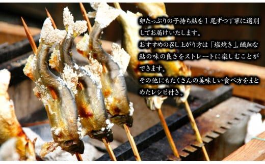 【2026年11月以降発送】【先行予約】【延岡産】小分けで便利！冷凍子持ち鮎１kg N017-YZA173