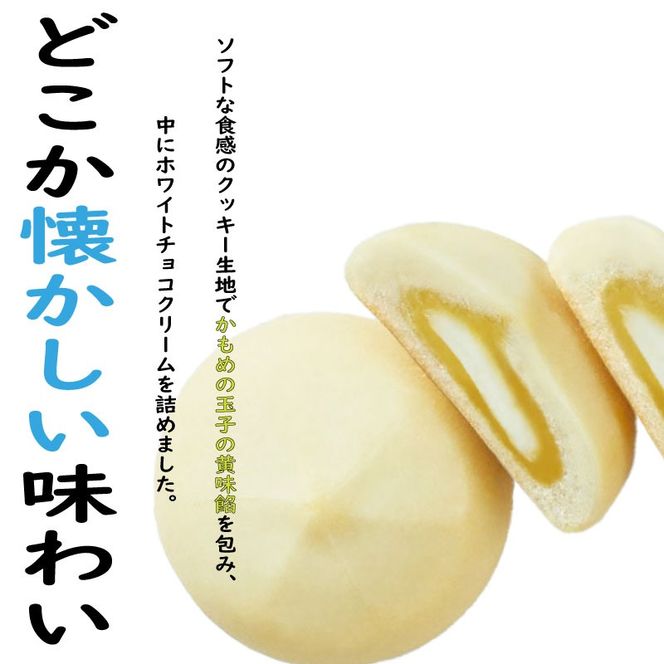 セーラーくんのかもめの玉子やわらかクッキー 5個入×2セット お菓子 菓子 洋菓子 クッキー プレゼント かもめの玉子 さいとう製菓 岩手県 大船渡市 [kamome19]