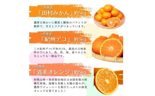 【全6回定期便】旬のフルーツ定期便 【田村みかん / 紀州デコ(不知火) / 清見オレンジ / 小玉スイカ / 桃 / ゆら早生みかん】 ～和歌山の旬をお届け～ 【tkb314】