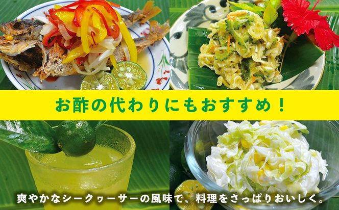 【大宜味村】シークヮーサーセット1