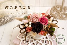 プリザーブドフラワー【ブランディーユ】【埼玉県 春日部市 シュガーパイン ブラウンアレンジ シック モダン インテリア】(AJ049-1)