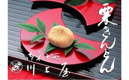 【選べる発送月】御菓子所 川上屋 栗きんとん （秋季限定）10個入り F4N-1065