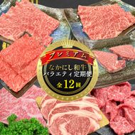 【定期便 全12回】宮崎県西ノ原牧場・なかにしプレミアム和牛バラエティ定期便（牛肉 黒毛和牛 すき焼き しゃぶしゃぶ モモ 定期便 A4 A5）