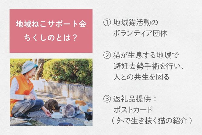 保護猫 支援 猫保護活動への支援 ポストカード [地域ねこサポート会ちくしの 福岡県 筑紫野市 21761293] 保護 動物 猫 応援 ネコ ねこ ペット動物愛護 愛護 保護活動 クリポス メール便 メール便対応