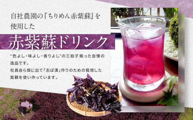 【土井志ば漬本舗】京都大原ちりめん赤紫蘇ジュース 180ml×20本入り｜赤紫蘇ジュース ドリンク 人気セット［ ちりめん赤紫蘇 しそジュース 老舗 ストレートで飲める 炭酸割り お土産 贈答 人気 おすすめ お取り寄せ 通販 送料無料 ふるさと納税 ］ 261009_A-AZ023