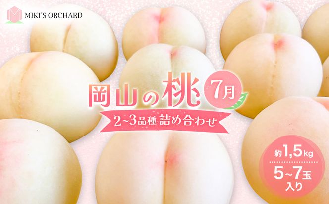 桃 【訳あり 2級品】 2026年 先行予約 岡山の桃 7月の桃 2～3品種 詰め合わせ セット 5～7玉入り 約1.5kg  MIKI’S ORCHARD  もも モモ 果物 岡山 家庭用