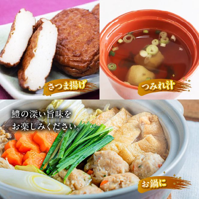 SD1004_鱧すり身 200g × 8個 高級魚 鱧 漁港直送 その日に加工 真空冷凍 鮮度 キープ すり身 鍋 ハンバーグ つみれ汁 高級料亭 気分 味わえる 自宅 簡単 出来立て さつま揚げ 冷凍 お取り寄せ 和歌山県 湯浅町 送料無料