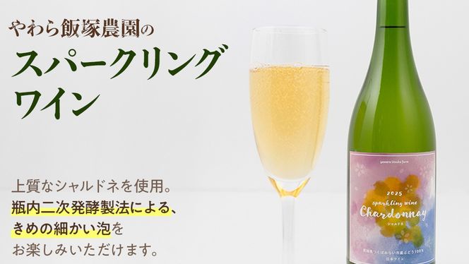 地元農家が作る つくばみらい市産 ぶどう を使った 赤ワイン・スパークリングワイン各1本 計2本セット ワイン お酒 酒 フルーツ 果物 果実酒 ブドウ おつまみ 贈り物 お取り寄せ プレゼント 記念日