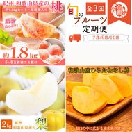 〈定期便〉【7・9・10月 全3回】紀州和歌山産旬のフルーツセット(桃・梨・ひらたねなし柿) ※離島への配送不可