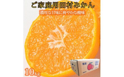 【先行予約】【ご家庭用訳あり】田村みかん　１０kg