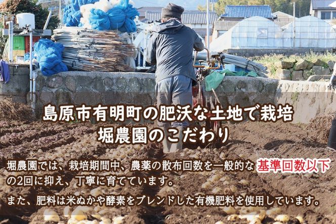 BI118 じゃがいも ＆ 人参 セット ( ながさき黄金＆冬人参 ) 約 5kg [ 野菜 野菜セット 詰め合わせ ジャガイモ にんじん ニンジン 5kg 5キロ 黄金 贅沢宝庫 長崎県 島原市 ]