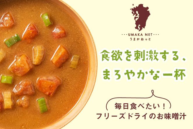 味噌汁 フリーズドライ 業務用 トマト 15食 [タムラ 福岡県 宇美町 um40azp050012] お味噌汁 みそ汁 おみそ汁 国産 福岡 インスタント 保存食 クリポス メール便 メール便対応