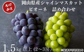 厳選 シャインマスカット・ニューピオーネ 2～3房 合計1.5kg以上 詰合せ 産地直送 朝採れ ぶどう 葡萄 Kawahara Green Farm 岡山県産 2026年 先行予約