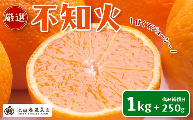 ［先行予約］厳選 不知火1kg+250g（傷み補償分）［デコポンと同品種・人気の春みかん］ CZ042