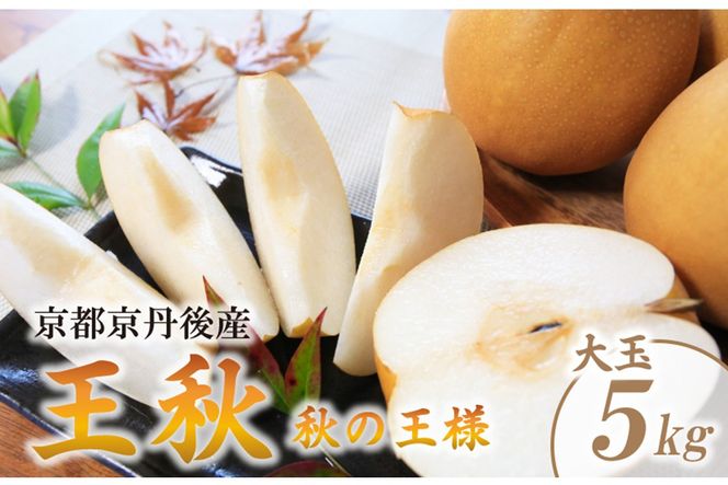 【先行予約／数量限定200】農家直送 秋の王様 「王秋」5kg（概ね7玉～12玉）（2026年11月上旬～発送）　DE00169