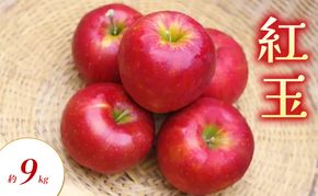 【2026年9月～発送】紅玉 約9kg りんご リンゴ 林檎 果物 フルーツ 長野県 長野 山ノ内町