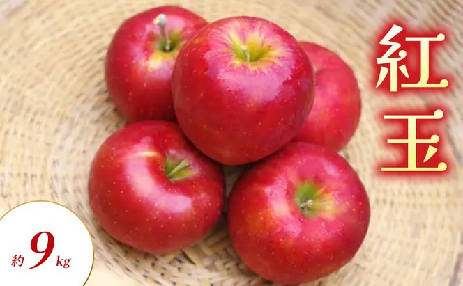 【2026年9月～発送】紅玉 約9kg りんご リンゴ 林檎 果物 フルーツ 長野県 長野 山ノ内町