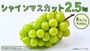 シャインマスカット 2.5kg 【2026年8月下旬発送開始】(茨城県共通返礼品：大子町) ぶどう 葡萄 ブドウ マスカット フルーツ 果物 贈答用 ギフト 贈り物