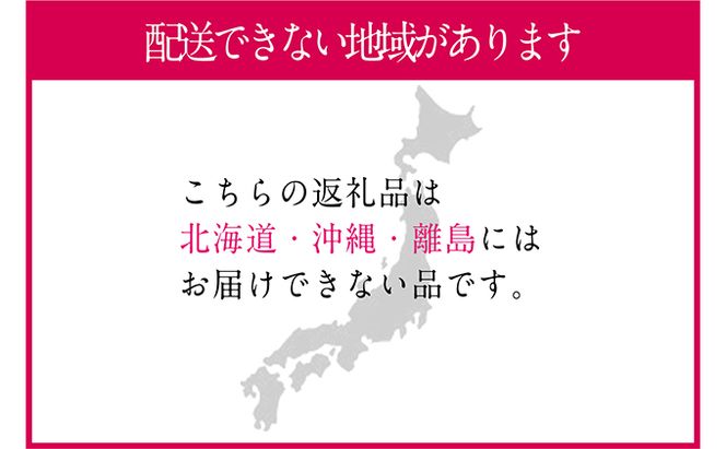 ぶどう 2026年 先行予約 9月・10月発送 シャイン マスカット 晴王 1房 約700g ブドウ 葡萄  岡山県産 国産 フルーツ 果物 ギフト 