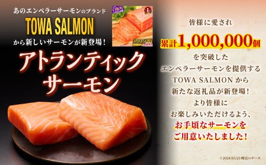 【TOWA SALMON】アトランティック サーモン 【800g】鮭 サーモン さけ シャケ しゃけ sake カルパッチョ ソテー レアステーキ 人気 高級 大満足 美味しい 贈答 生食用 刺身 お刺身 刺し身 魚介類 海鮮 冷凍 厚切り 薄切り ふるさと納税 北海道 白糠町 ※2026年1月末までにお届け※