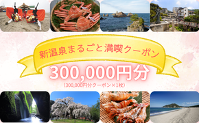 新温泉まるごと満喫クーポン(300,000円分)300,000円分×1枚