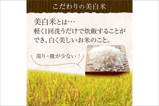 【定期便3回】令和7年産  美白精米 丹後こしひかり 3kg×3ヵ月 1等米　MU00069