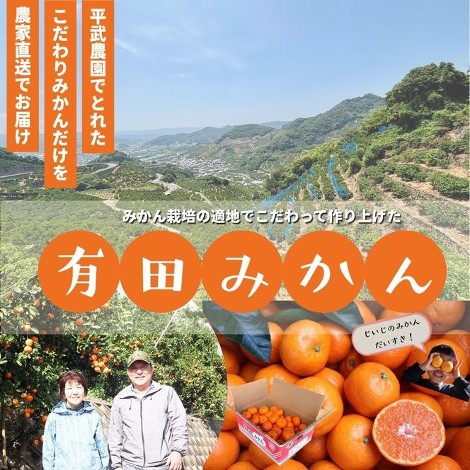 農家直送！有田みかん（5kg 2Sサイズ（小玉）秀品）平武農園　～蛍飛ぶ町から旬の便り～  	BX33