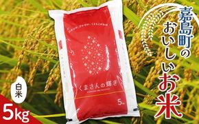 FK7-0264_【嘉島町産】くまさんの輝き 5kg 米 お米 コメ ごはん ご飯 食品 九州 熊本県 熊本 嘉島