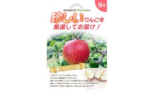 【令和7年度予約受付】大文字りんご園 季節のりんごづくし定期便！/ 樹上完熟 りんご リンゴ 林檎 紅いわて サン北斗 大夢 サンフジ 果物 くだもの フルーツ 甘い 旬 産地直送 予約 先行予約【dma513-set-3×4A】