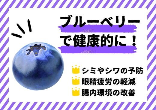 ブルーベリー 訳あり 500g×2パック | 大粒 品種ミックス くだもの 果物 フルーツ ヨーグルト ジャム 国産 愛知県産 ※北海道・沖縄・離島への配送不可