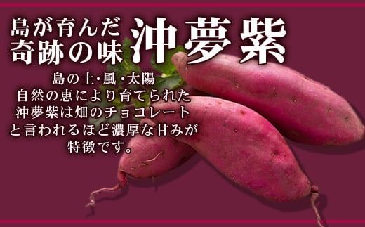 【石垣島産 沖夢紫 100%使用】沖夢紫ロールモンブラン 2本【お土産でも大人気のケーキ】YN-3-1