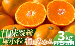 完熟 小粒 有田みかん 3kg 甘味凝縮 和歌山県産 産直45年 武内園 BA03