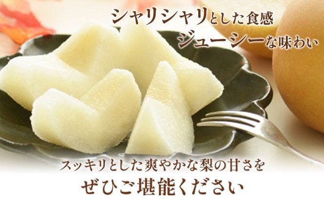 【2026年先行予約】紀州和歌山県産の梨 約2kg 5～7玉 化粧箱入 魚鶴商店《8月中旬-9月上旬出荷》和歌山県 日高川町 和歌山県産 梨 なし ナシ 贈り物 ギフト---wshg_uot65_8c9j_24_15000_2kg---