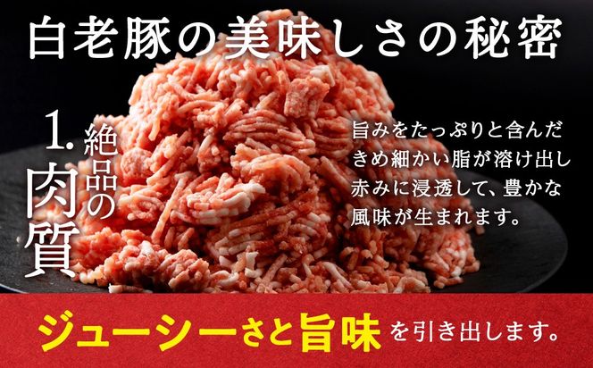 北海道産 白老豚 ハンバーグ 120ｇ×10個セット BV083