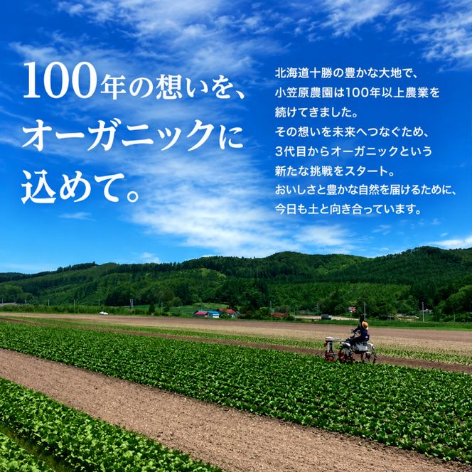 小笠原農園の有機とうもろこし「ミルキースイーツ」10本【北海道十勝幕別】《2026年8月出荷開始先行予約》【 スイートコーン コーン とうもろこし とうきび 黄色 野菜 夏 北海道 幕別町 】 