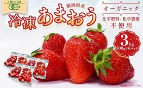 オーガニック冷凍あまおう 3kg (500g×6パック)【伊世いちご畑】_HA1317