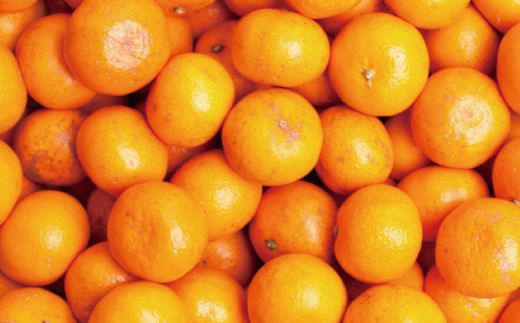 【先行予約】家庭用 小さな有田みかん（完熟）5kg+250g（傷み補償分）  ※1月より順次発送【わけあり・訳あり】【光センサー選果】※北海道・沖縄・離島への配送不可 / みかん ミカン くだもの 果物 有田 有田みかん オレンジ【ikd154C】