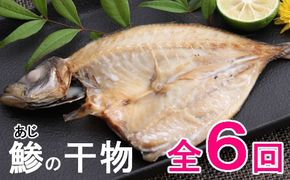年６回お届け！ナカイチ海産「アジの干物」定期便 頒布会 nk011