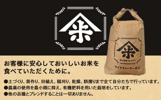 R7年産コシヒカリ10kg（5kg×2）｜射水市 ライスファーマー山上 農家直送 射水の美味しいお米 精米 ※離島への配送不可